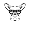 Clever Chihuahua dog