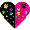 cat paws