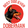 Doberman Best Dog Ever