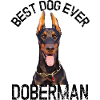 DOBERMAN