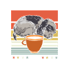 Cocker Spaniel Kaffee