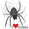 Spinne, Spinnennetz, Halloween