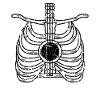Guitar Skeleton Country Singer Gift