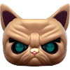 Magical brown angry cat face!