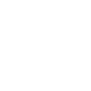 WILD WOOD SQUIRREL OUTLINE