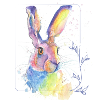 Rainbow Rabbit