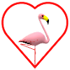 Flamingo Love Heart Animal Chic