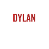No Dylan No Life