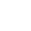 Heartbeat Spaceship