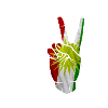 Amour Liebe Kurdistan