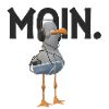 Moin Möwe Lustig Seemann Begrüssung Küste Norden