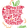 Pomme d’Adam