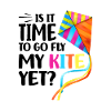 Kite flying