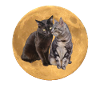 The brothers background planet 2