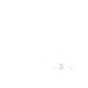 Halloween Spinnennetz mit Spinne