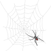 Halloween Spinnennetz mit Spinne