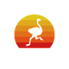 Ostrich