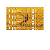 Kite Surfing