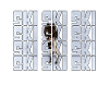 Ski