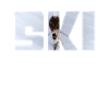 Ski