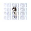 Ski