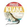 Iguana Lizard Reptile Herpetologist