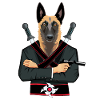 Malinois Ninja