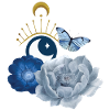 Butterfly Moon