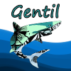 Gentil requin