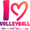 I love volleyball