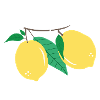 Faites votre zeste
