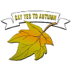 say yes to autumn