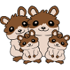 Mama Papa Kinder Hamster