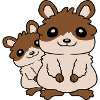Hamster family small child