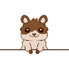 Little hamster behind the wall