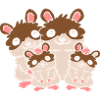 Friendly hamster family children