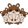 Crew Hamster Family Children