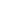 100 % Protein