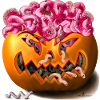 Pumkinabrain/Halloween Pumpkin