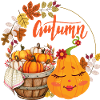 Autumn Pumpkin
