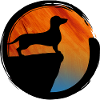 Dachshund Sunset Silhouette Dog