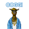 BAD BOY COGGI