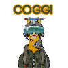 COGGI PILOT
