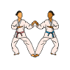 Taekwondo