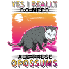 Opossum Gift Possum Possum
