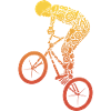 BMX Bike Tricks BMX