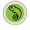 Chameleon Reptiles Caretaker Poison