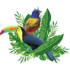 Beautiful birds nature lovers poison