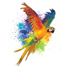 Buntes Vogel Vögelbesitzer Gift