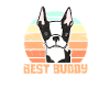 Boston Terrier